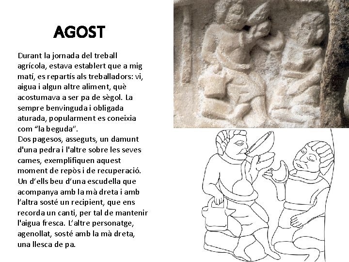 AGOST Durant la jornada del treball agrícola, estava establert que a mig matí, es