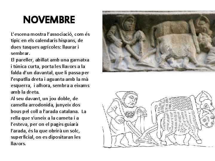 NOVEMBRE L’escena mostra l’associació, com és típic en els calendaris hispans, de dues tasques