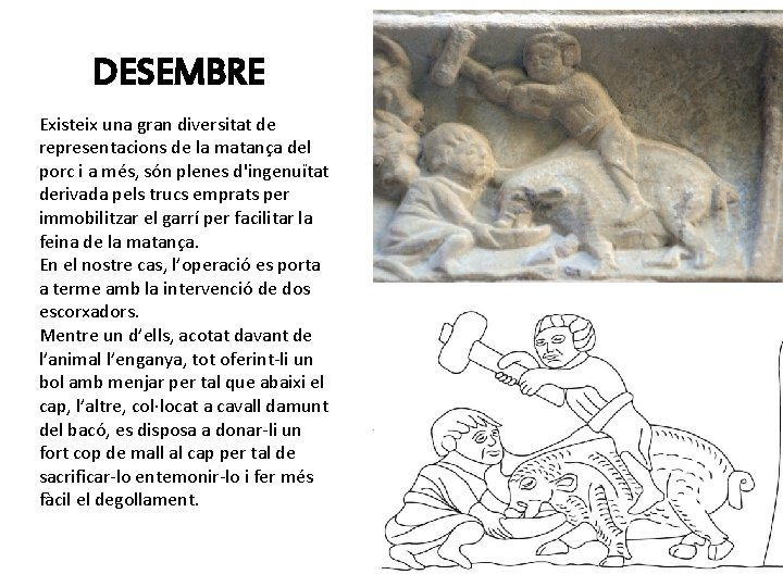 DESEMBRE Existeix una gran diversitat de representacions de la matança del porc i a