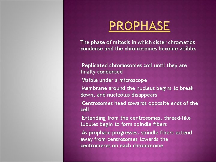 PROPHASE The phase of mitosis in which sister chromatids condense and the chromosomes become PROPHASE The phase of mitosis in which sister chromatids condense and the chromosomes become