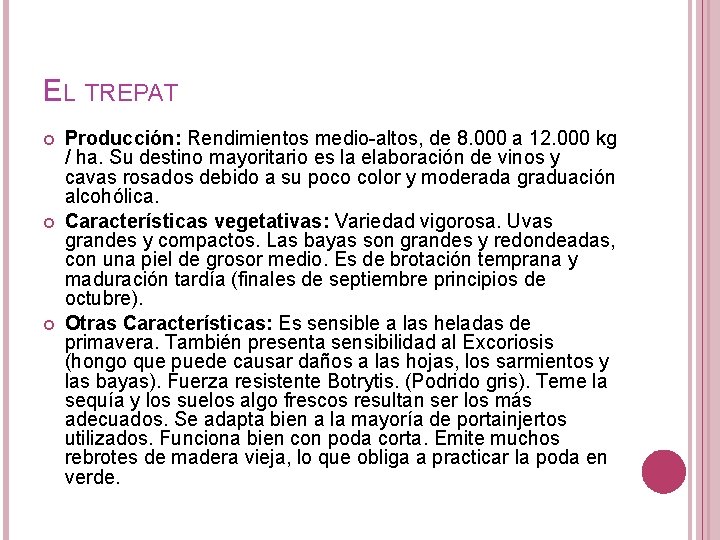 EL TREPAT Producción: Rendimientos medio-altos, de 8. 000 a 12. 000 kg / ha.