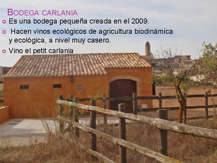 BODEGA CARLANIA Es una bodega pequeña creada en el 2009. Hacen vinos ecológicos de