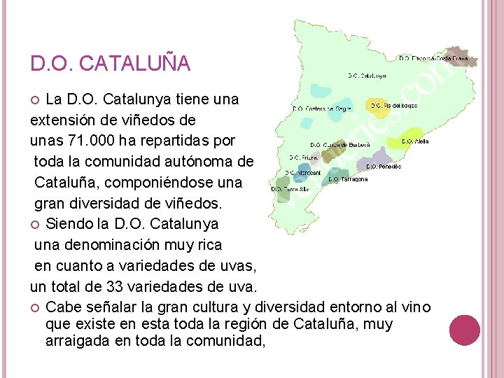 D. O. CATALUÑA La D. O. Catalunya tiene una extensión de viñedos de unas