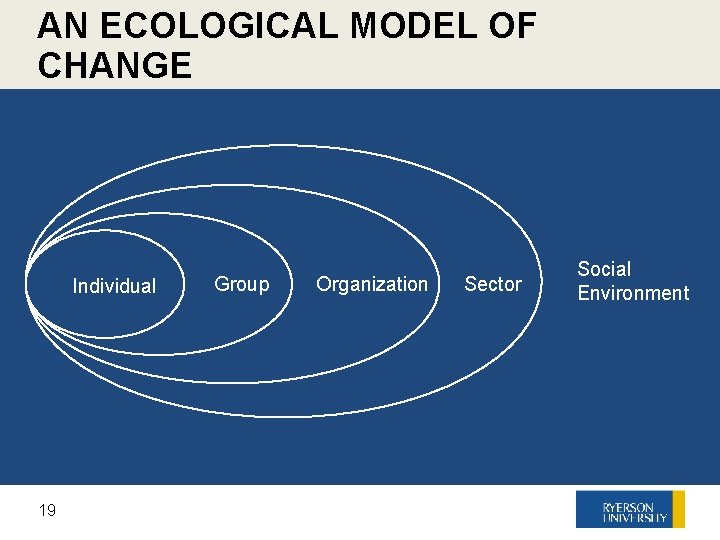 AN ECOLOGICAL MODEL OF CHANGE Individual 19 19 Group Organization Sector Social Environment 