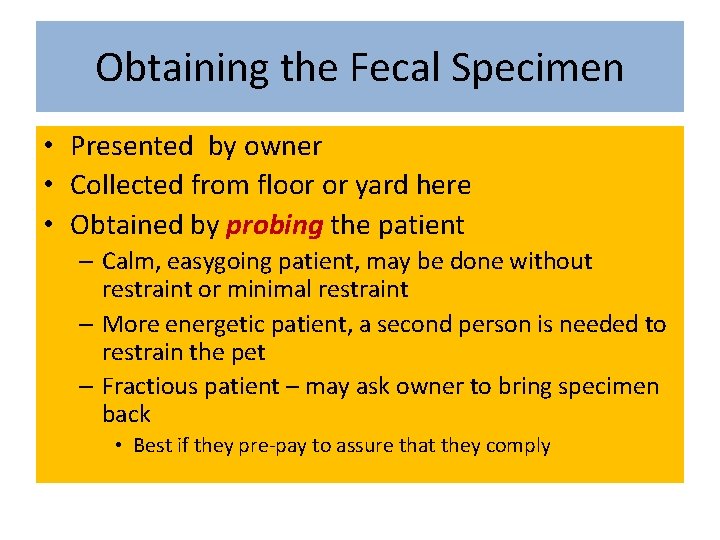 Obtaining the Fecal Specimen • Presented by owner • Collected from floor or yard
