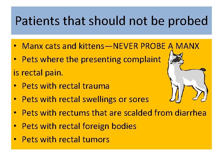 Patients that should not be probed • Manx cats and kittens—NEVER PROBE A MANX