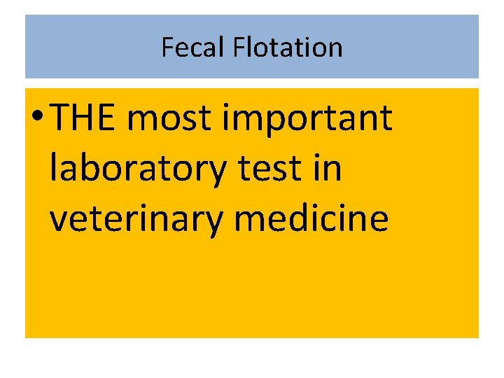 Fecal Flotation • THE most important laboratory test in veterinary medicine 