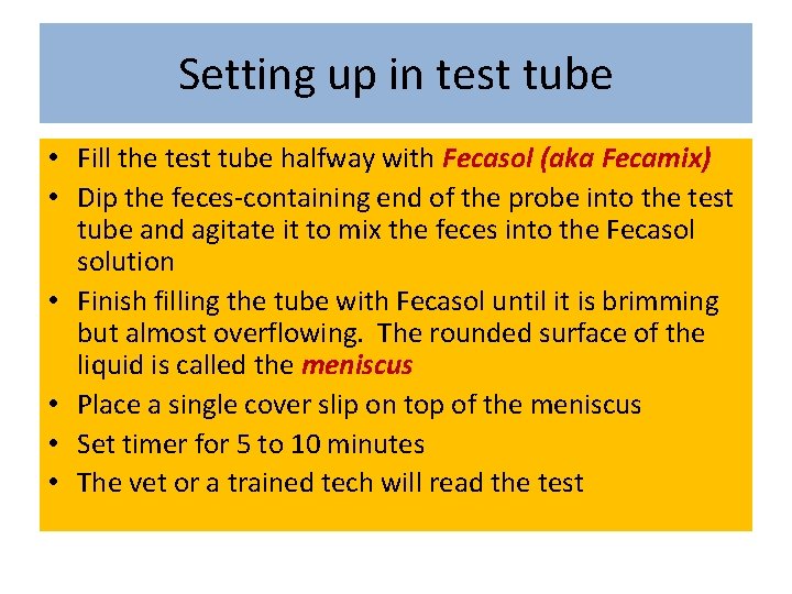 Setting up in test tube • Fill the test tube halfway with Fecasol (aka