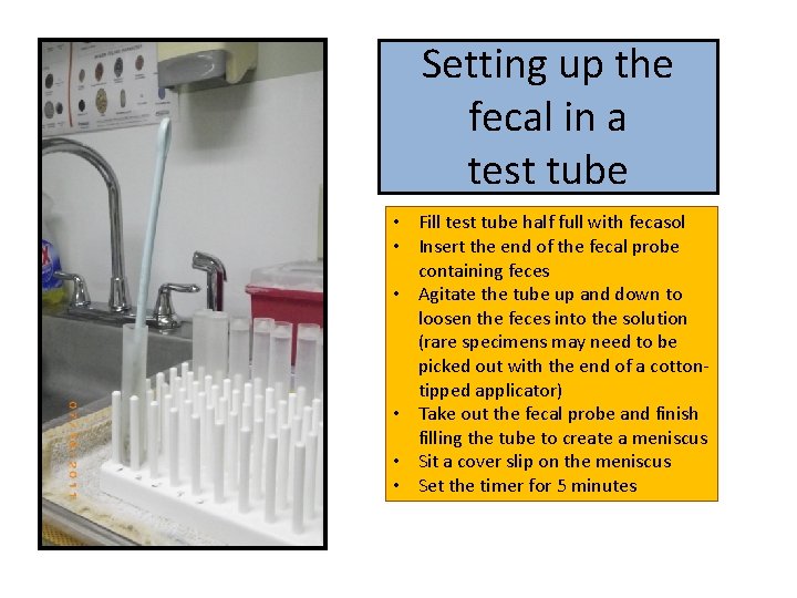Setting up the fecal in a test tube • Fill test tube half full