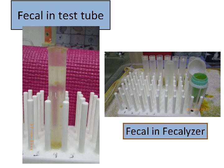 Fecal in test tube Fecal in Fecalyzer 