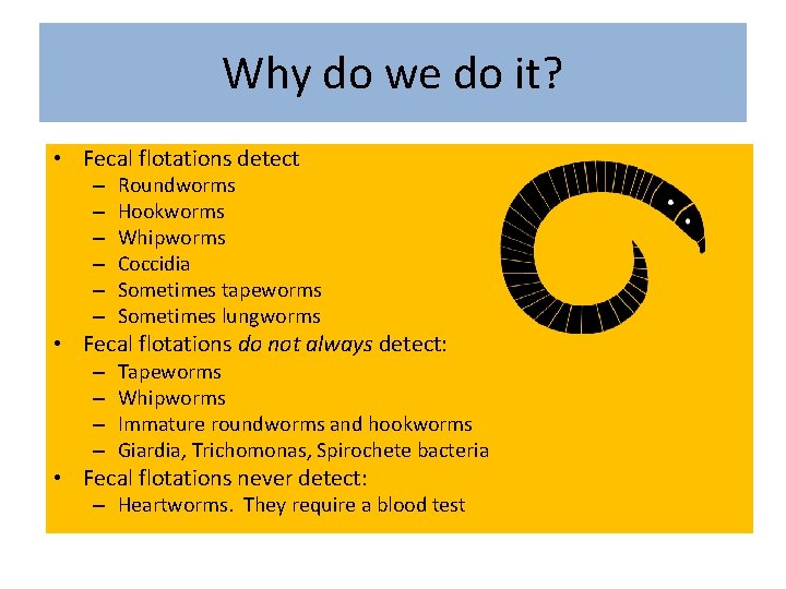 Why do we do it? • Fecal flotations detect – – – Roundworms Hookworms