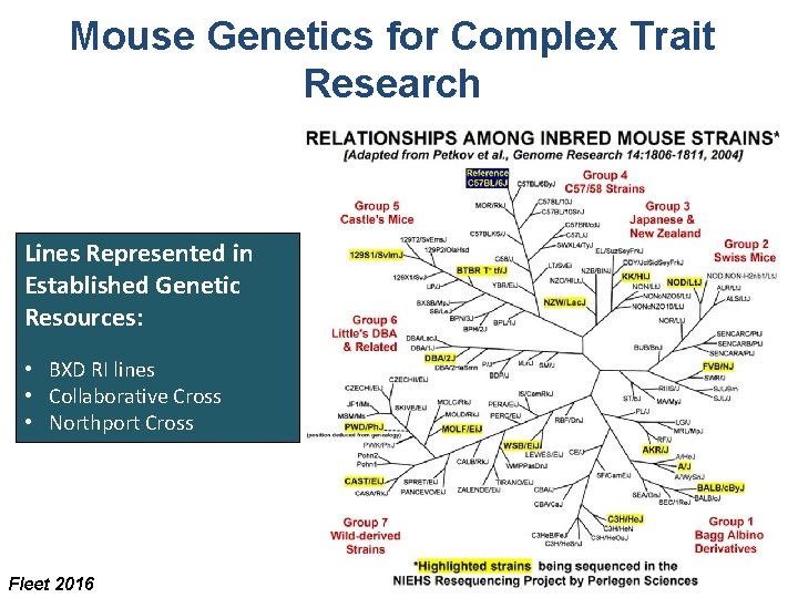 Mouse Genetics for Complex Trait Research Lines Represented in Established Genetic Resources: • BXD