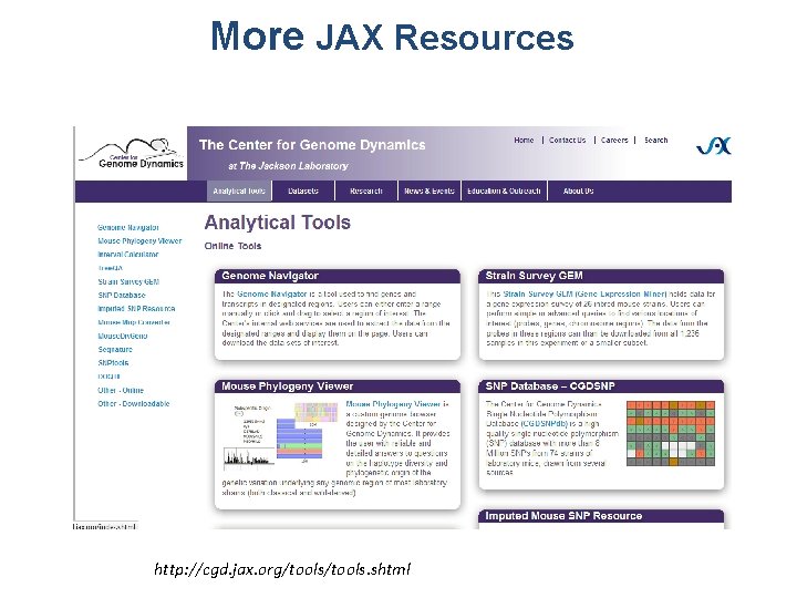 More JAX Resources http: //cgd. jax. org/tools. shtml 