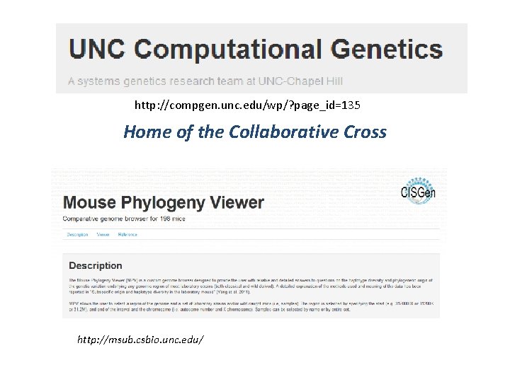 http: //compgen. unc. edu/wp/? page_id=135 Home of the Collaborative Cross http: //msub. csbio. unc.