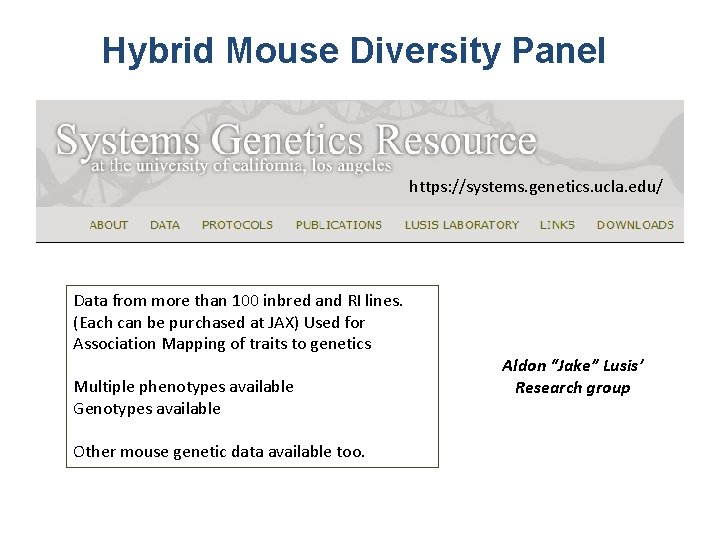 Hybrid Mouse Diversity Panel https: //systems. genetics. ucla. edu/ Data from more than 100