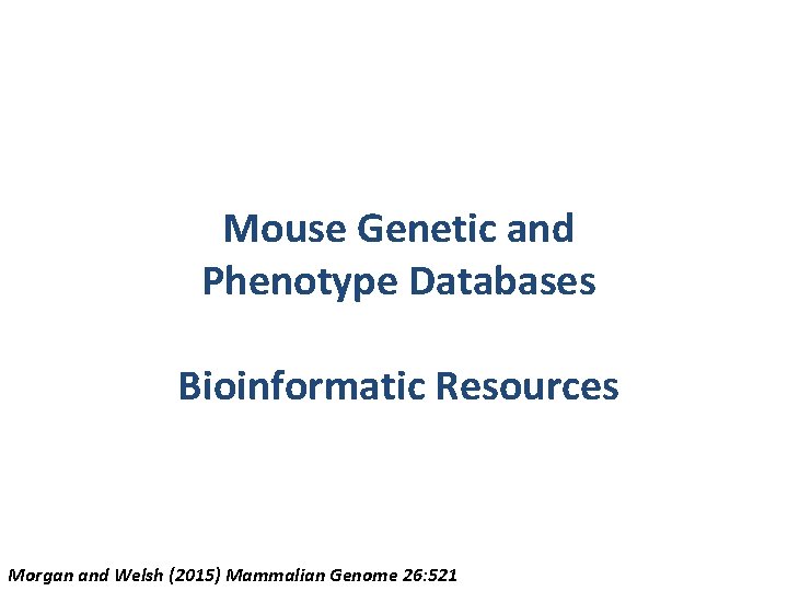 Mouse Genetic and Phenotype Databases Bioinformatic Resources Morgan and Welsh (2015) Mammalian Genome 26:
