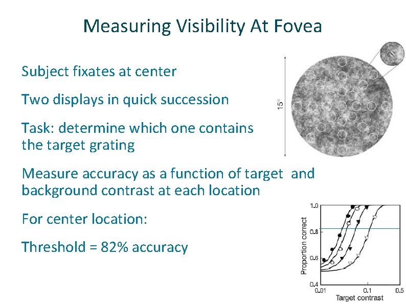 Measuring Visibility At Fovea ü ü ü Subject fixates at center Two displays in