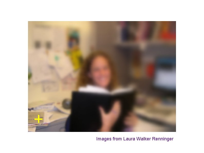 Images from Laura Walker Renninger 