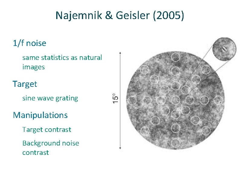 Najemnik & Geisler (2005) ü 1/f noise same statistics as natural images ü Target