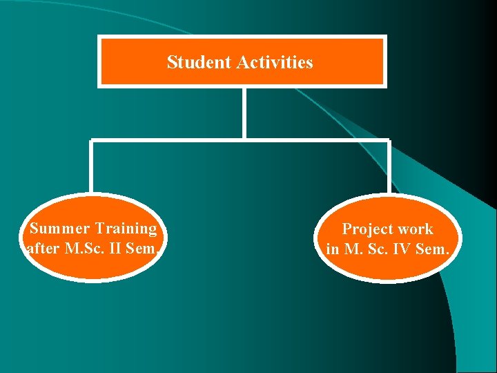 Student Activities Summer Training after M. Sc. II Sem. Project work in M. Sc.