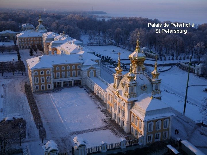 Palais de Peterhof à St Petersburg 