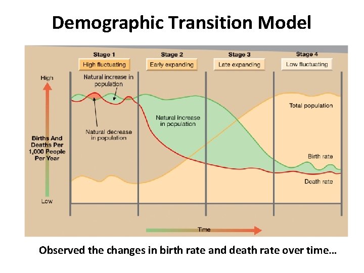 Demographic Transition Model Observed the changes in birth rate and death rate over time…