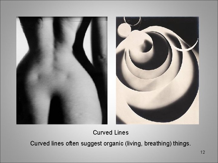 Curved Lines Curved lines often suggest organic (living, breathing) things. 12 