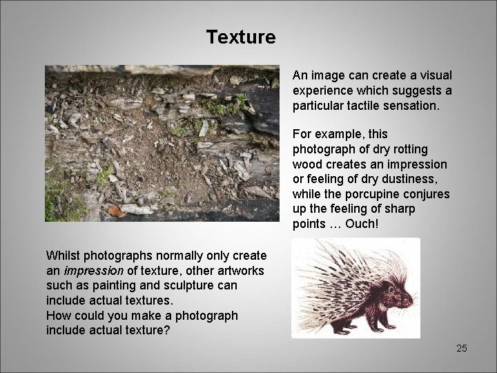 Texture An image can create a visual experience which suggests a particular tactile sensation.