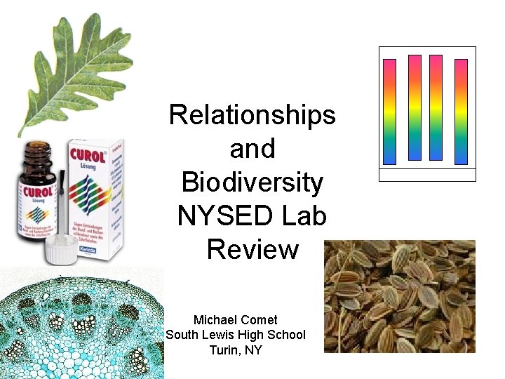 Relationships and Biodiversity NYSED Lab Review Michael Comet South Lewis High School Turin, NY