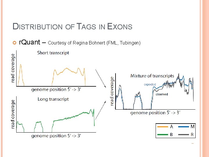 DISTRIBUTION OF TAGS IN EXONS r. Quant – Courtesy of Regina Bohnert (FML, Tubingen)