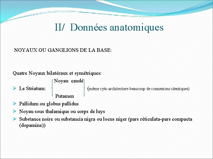 II/ Données anatomiques NOYAUX OU GANGLIONS DE LA BASE: Quatre Noyaux bilatéraux et symétriques: