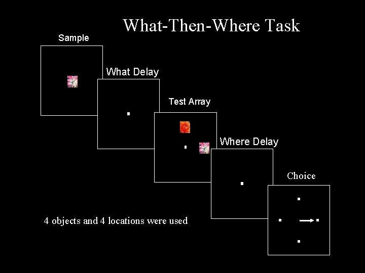 Sample What-Then-Where Task What Delay Test Array Where Delay Choice 4 objects and 4