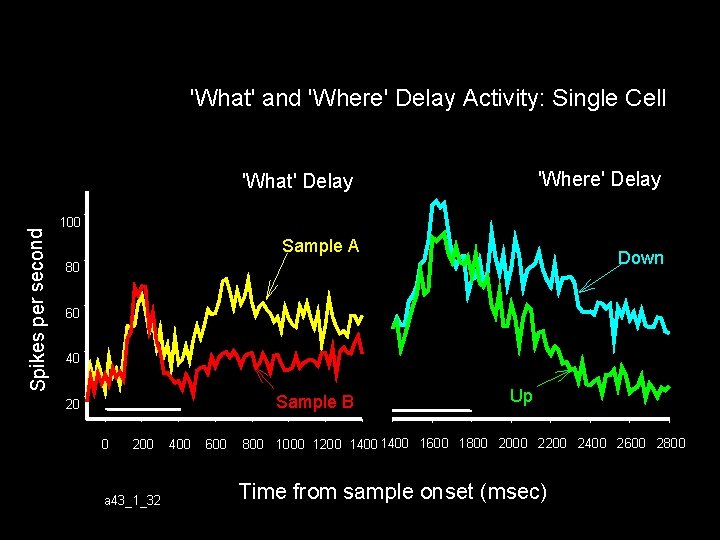'What' and 'Where' Delay Activity: Single Cell 'Where' Delay Spikes per second 'What' Delay