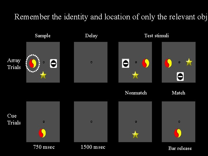 Remember the identity and location of only the relevant obje Sample Delay Test stimuli
