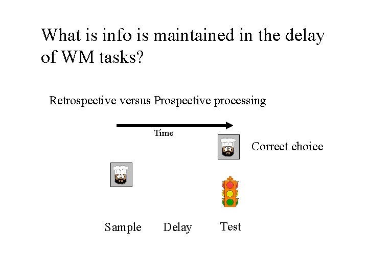 What is info is maintained in the delay of WM tasks? Retrospective versus Prospective