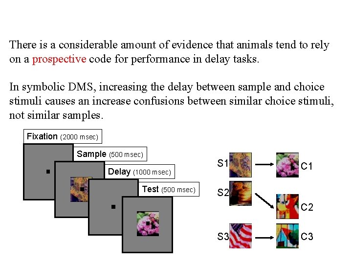 There is a considerable amount of evidence that animals tend to rely on a