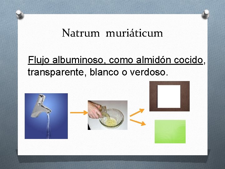 Natrum muriáticum Flujo albuminoso, como almidón cocido, transparente, blanco o verdoso. 