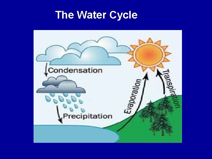 The Water Cycle 
