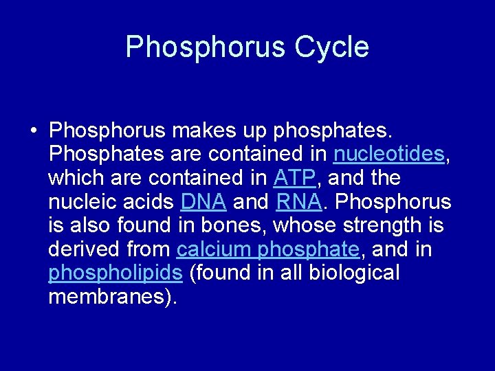 Phosphorus Cycle • Phosphorus makes up phosphates. Phosphates are contained in nucleotides, which are