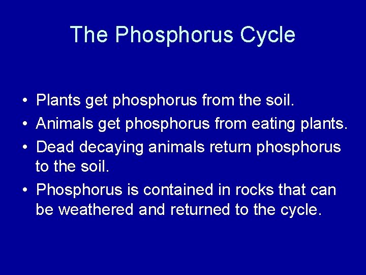 The Phosphorus Cycle • Plants get phosphorus from the soil. • Animals get phosphorus