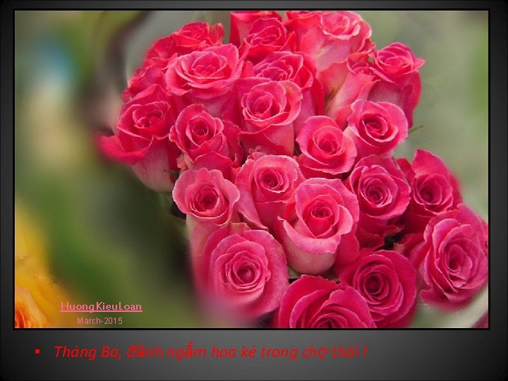 Huong. Kieu. Loan March-2015 • Tháng Ba, đành ngắm hoa ké trong chợ thôi