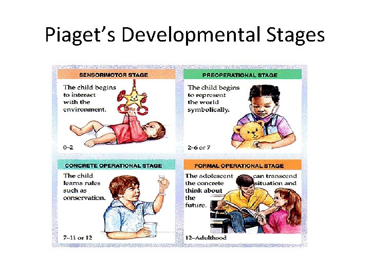 Piaget’s Developmental Stages 