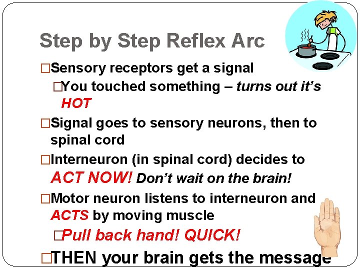 More about the Nervous System Motor Division of