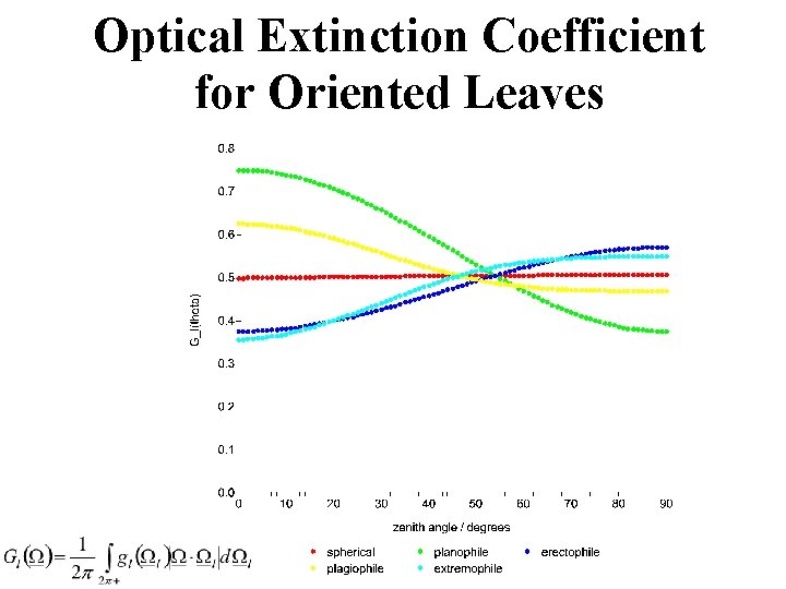 Optical Extinction Coefficient for Oriented Leaves 