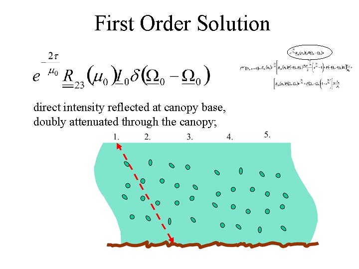 First Order Solution direct intensity reflected at canopy base, doubly attenuated through the canopy;