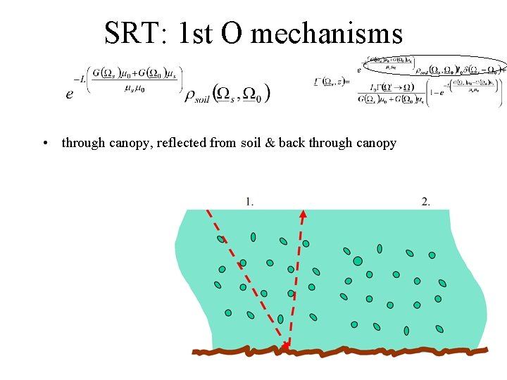 SRT: 1 st O mechanisms • through canopy, reflected from soil & back through