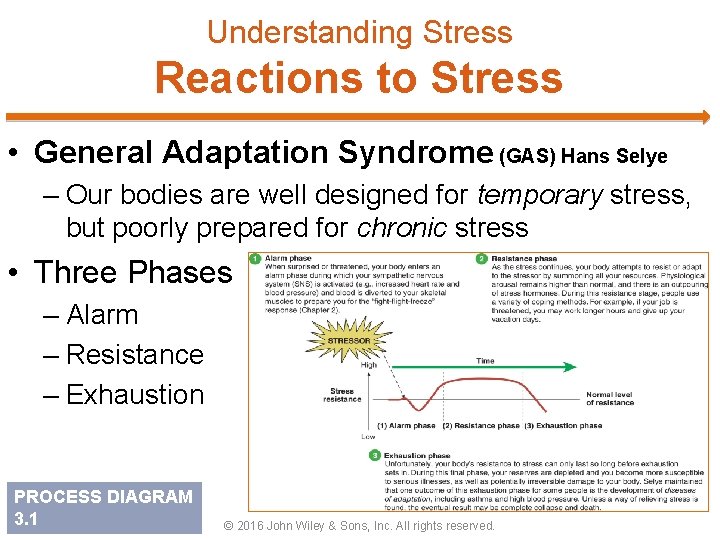 Understanding Stress Reactions to Stress • General Adaptation Syndrome (GAS) Hans Selye – Our