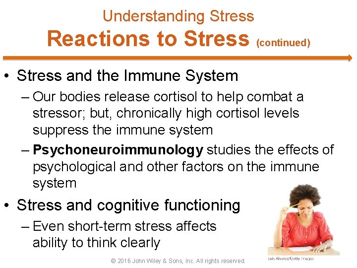 Understanding Stress Reactions to Stress (continued) • Stress and the Immune System – Our
