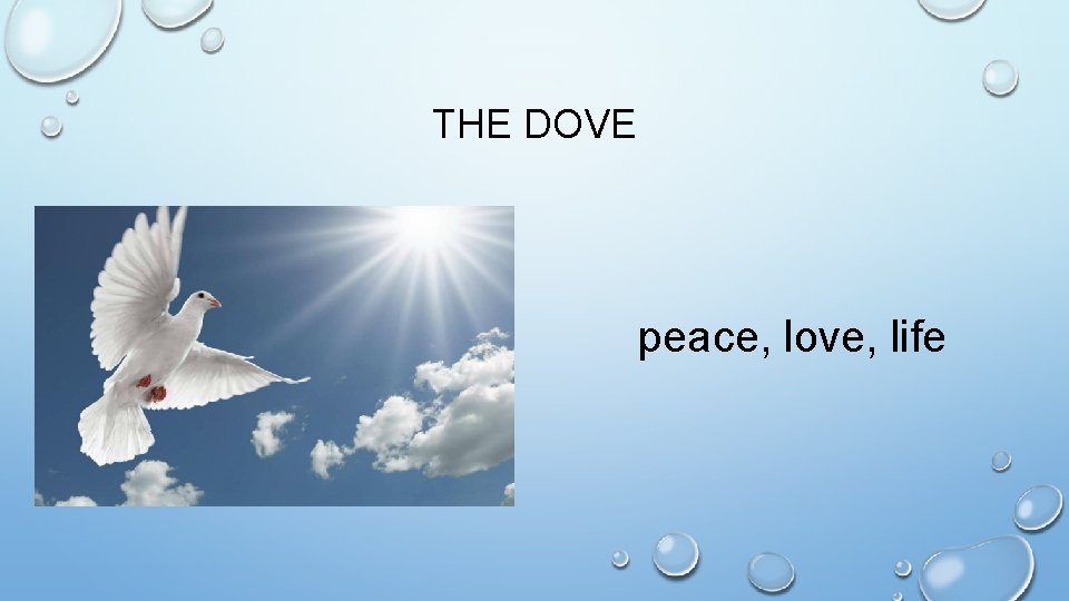 THE DOVE peace, love, life 