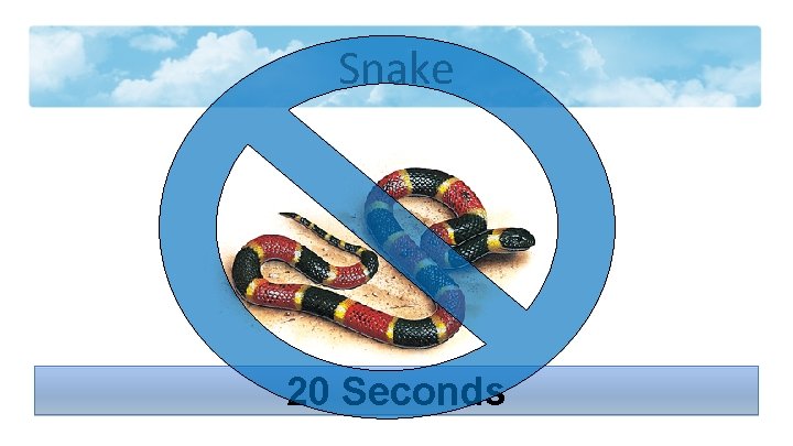 Snake 20 Seconds 